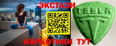 крисы Можга