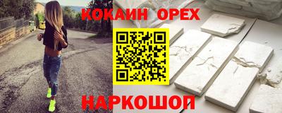крисы Можга