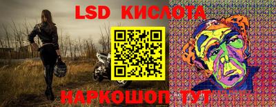 крисы Можга