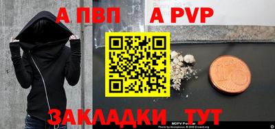 крисы Можга