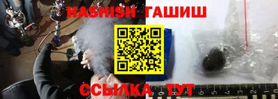 крисы Можга